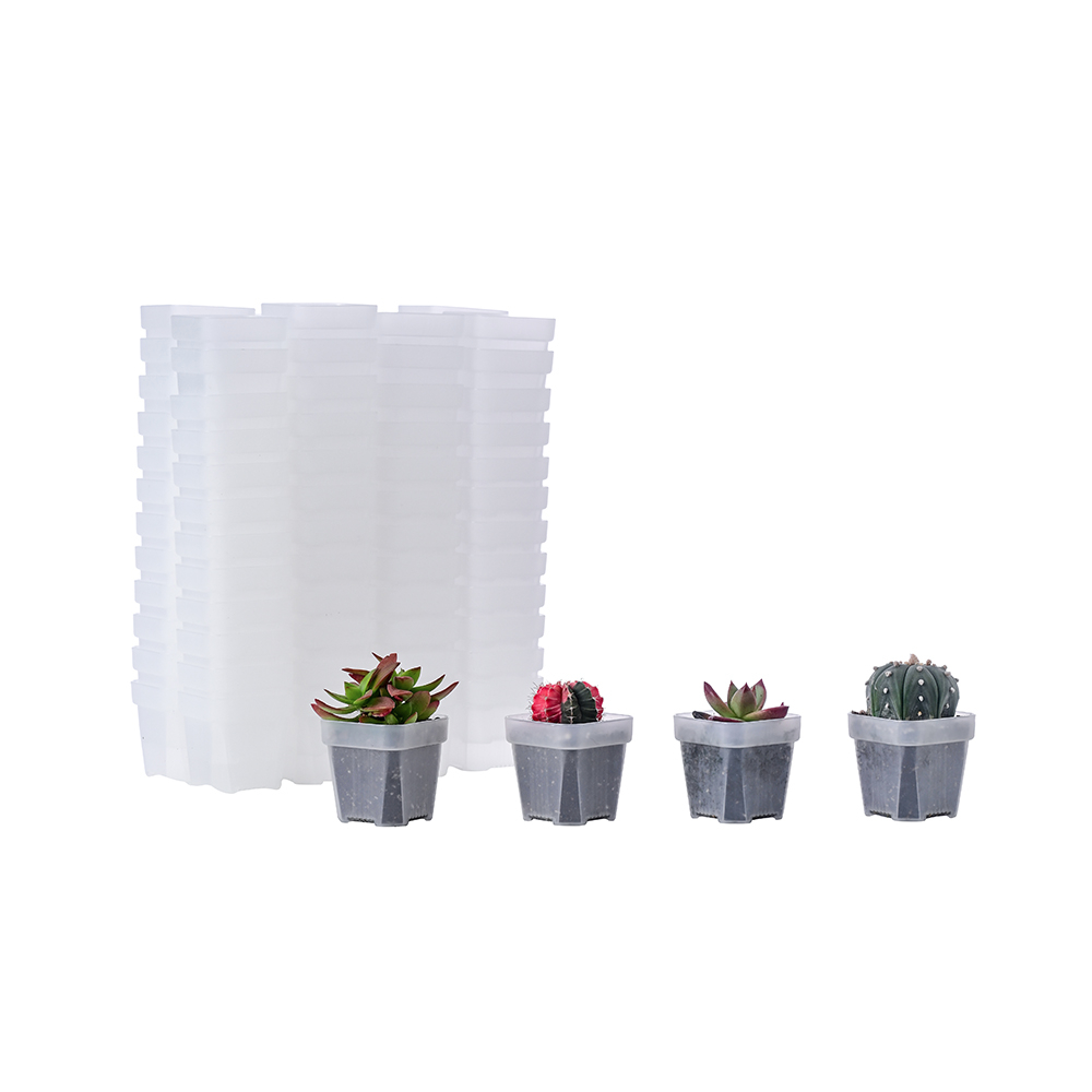BangQiao 100 Pack 2.55 Inch Small Clear Plastic Square Nursery and Seedling Pot with Drain Hole for Germination, Cactus, Herb, Succulent 