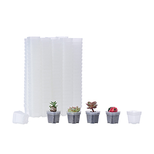 BangQiao 200 Pack 1.95 Inch Tiny Clear Plastic Square Nursery and Seedling Pot, Mini Transplant Seed Starter Planter with Drain Hole for Germination,  